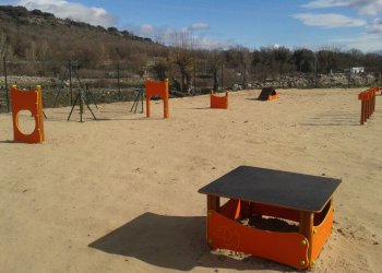 BENEFICIOS DE LA ACTIVIDAD FÍSICA EN PERROS
