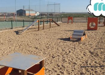 Circuito Deportivo Agility: Entrenamiento Canino en Parques Públicos