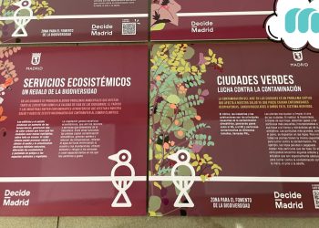 El valor de los carteles urbanos en los espacios públicos