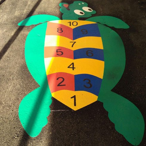 tortuga_700x700